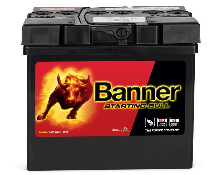 BannerPool 010530300101 Battery 12V 30Ah 300A B00