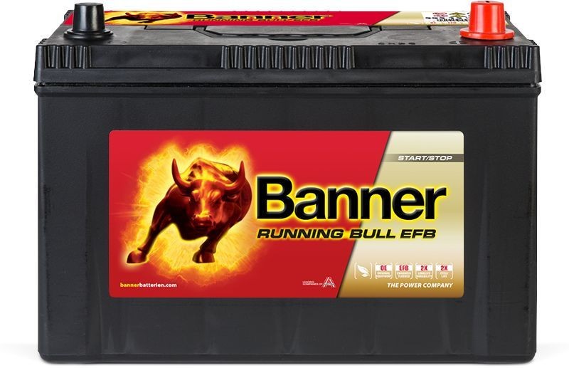 595 00 BannerPool 012595150101 Battery E3710100C1