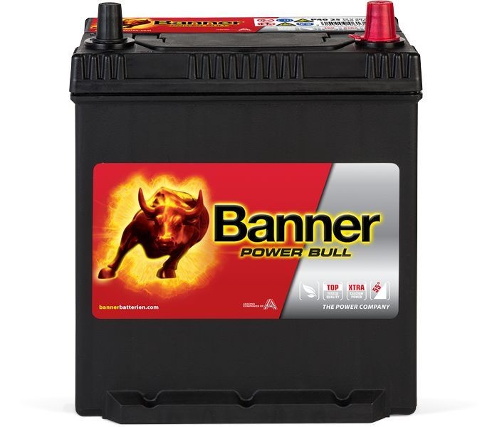 Original 013540250101 BannerPool Battery NISSAN