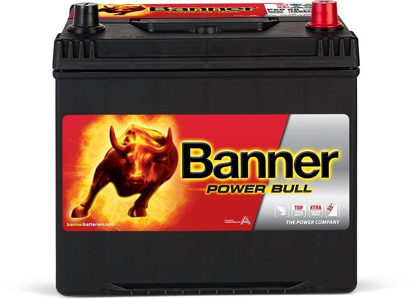 Original 013560680101 BannerPool Battery KIA