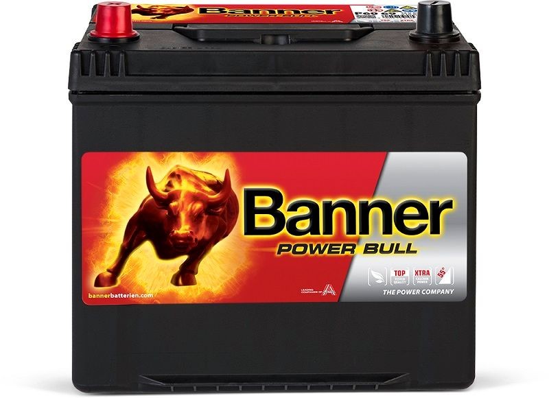 013560690101 BannerPool Batterie für MULTICAR online bestellen