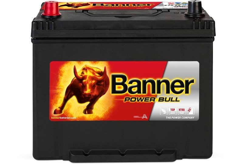 BannerPool 013570240101 Battery VOLVO P1800 1962 in original quality