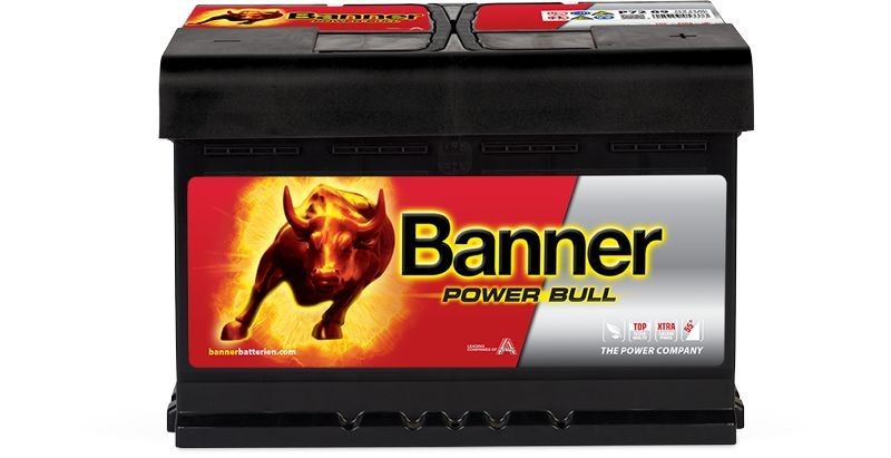 BannerPool 013572090101 Battery
