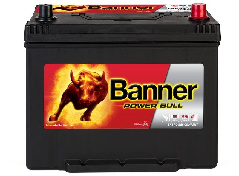 013580090101 BannerPool Batterie ISUZU N-Serie