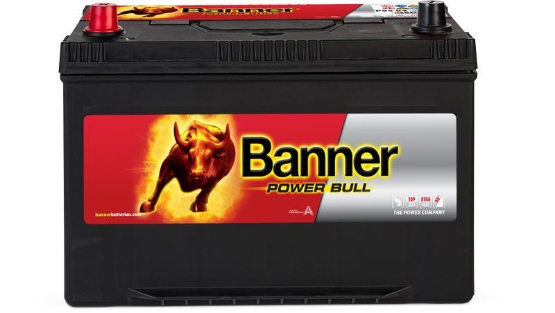 BannerPool 013595050101 Batterie für NISSAN L-Serie LKW in Original Qualität