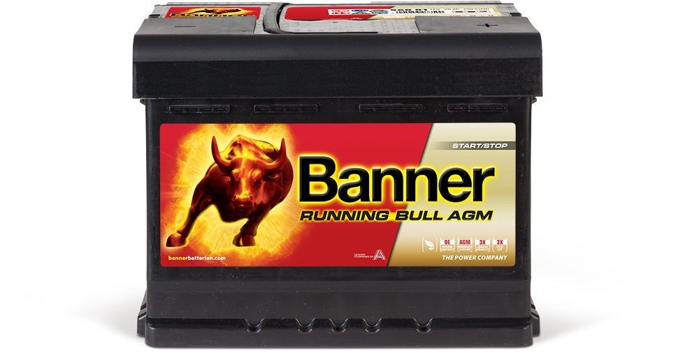 016560010101 BannerPool Battery - buy online