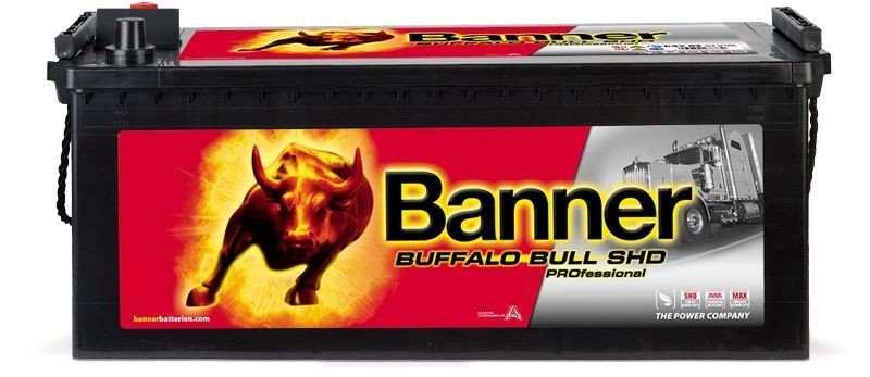 Great value for money - BannerPool Battery 018645030101