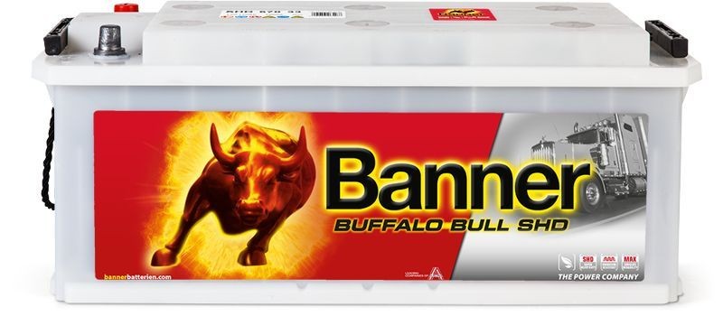 018670330101 BannerPool Batterie für RENAULT TRUCKS online bestellen