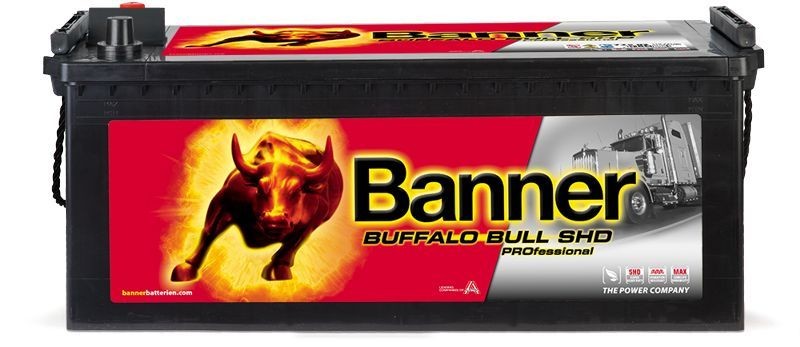 018680080101 BannerPool Batterie RENAULT TRUCKS Premium
