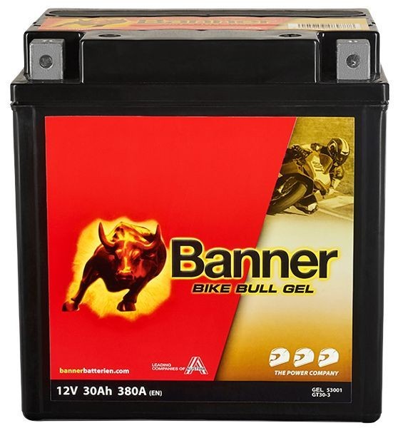 BannerPool 023530010101 Battery 12V 30Ah 380A B00 Gel Battery, Increased cycle stability, Increased shock resistance, Maintenance free, Leak-proof