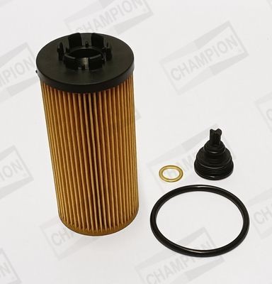 CHAMPION with gaskets/seals, Filter Insert Inner Diameter: 24mm, Ø: 55mm, Height: 124mm, Height 1: 116mm Oil filters COF100698E buy