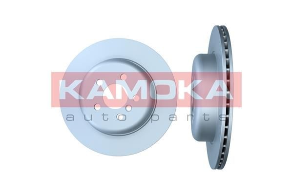 BMW 5 Series Brake discs 21495010 KAMOKA 103366 online buy