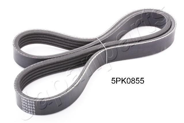 JAPANPARTS DV-5PK0855 Serpentine belt 855mm, 5