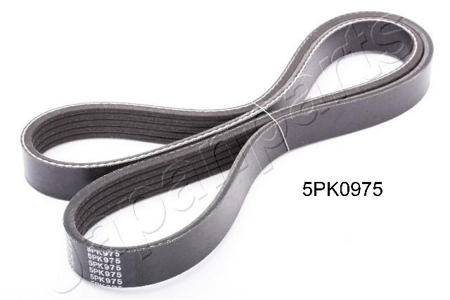 JAPANPARTS DV-5PK0975 Serpentine belt 975mm, 5