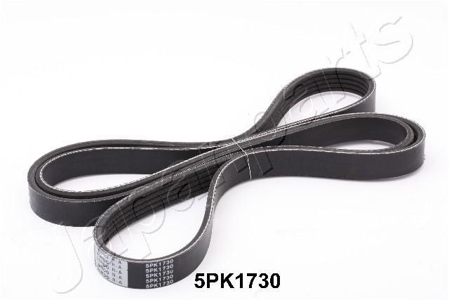 JAPANPARTS DV-5PK1730 Serpentine belt 1730mm, 5
