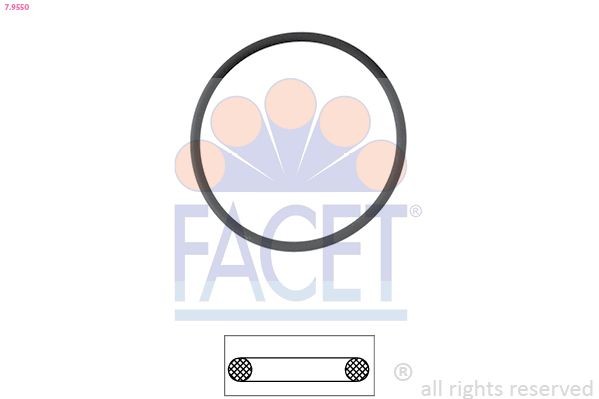 FACET 7.9550 Thermostat gasket BMW X5 2007 in original quality