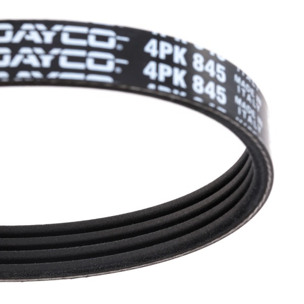 DAYCO 4x845 Aux belt 845,0mm, 4