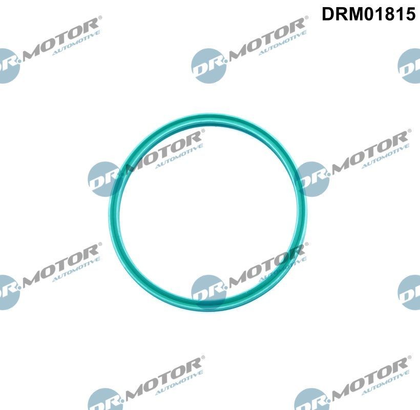 DR.MOTOR AUTOMOTIVE DRM01815 Seal, turbo air hose FORD C-MAX in original quality