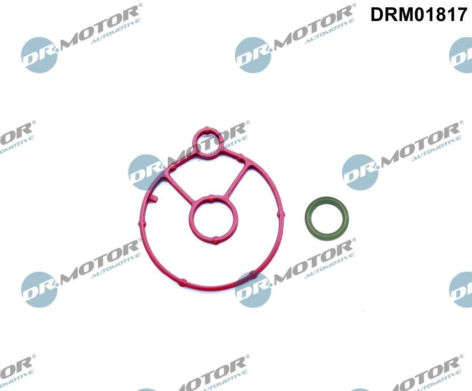 DR.MOTOR AUTOMOTIVE DRM01817 Oil cooler gasket OPEL Movano C Platform / Chassis (U9)