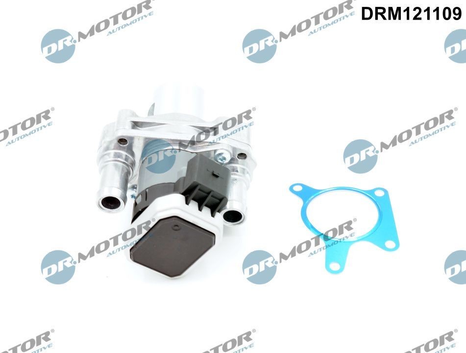 DR.MOTOR AUTOMOTIVE DRM121109 EGR valve A642 140 17 60