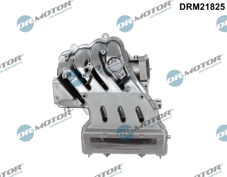 DR.MOTOR AUTOMOTIVE DRM21825 Inlet manifold Seat León Mk2 1.6 LPG 102 hp Petrol/Liquified Petroleum Gas (LPG) 2009 price