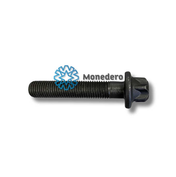 MONEDERO 20019000021 Pleuelschraube für MAN M 2000 L LKW in Original Qualität