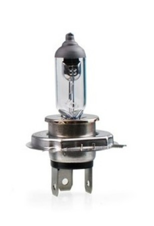 TECH Z4 Glühlampe, Fernscheinwerfer für MULTICAR Fumo LKW in Original Qualität