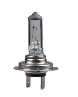 PTZ7-01B TECH Glühlampe, Fernscheinwerfer für MULTICAR online bestellen