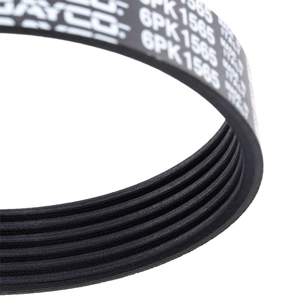 6PK1565 Auxiliary belt DAYCO 6PK1565 review and test