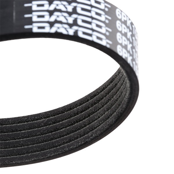 DAYCO 6x1580 Aux belt 1580,0mm, 6