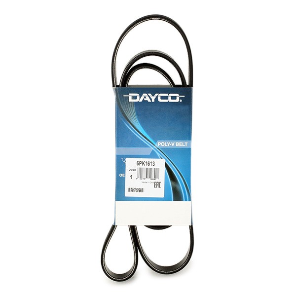 DAYCO Drive belt 6PK1613