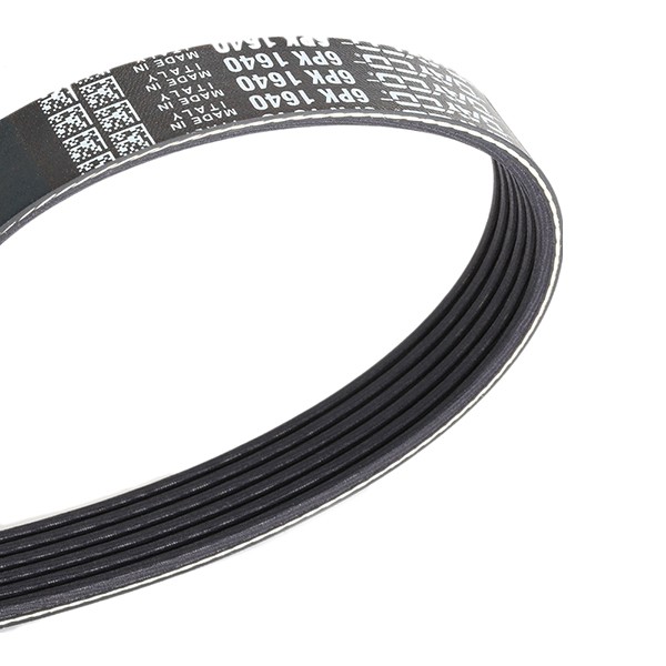 6x1640 DAYCO 1640,0mm, 6 Number of ribs: 6, Length: 1640,0mm Alternator belt 6PK1640 buy