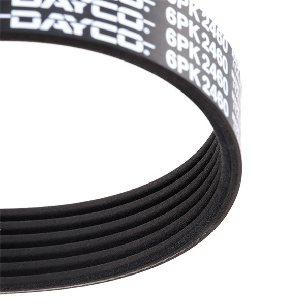 DAYCO 6x2460 Aux belt 2460,0mm, 6