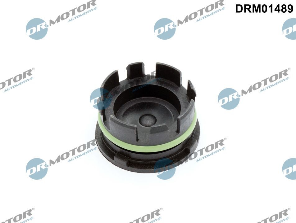 DR.MOTOR AUTOMOTIVE Screw Plug, crankcase DRM01489 buy