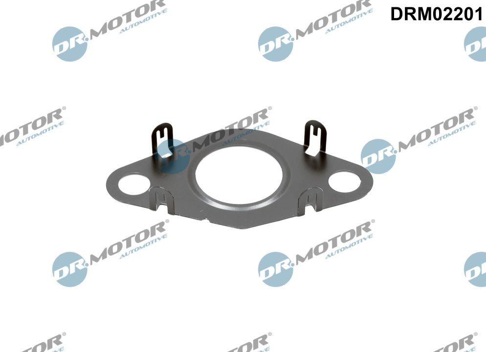 BMW Gasket, EGR valve pipe DR.MOTOR AUTOMOTIVE DRM02201 at a good price