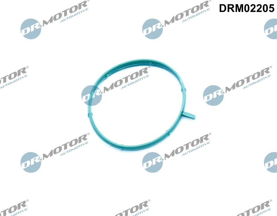 DR.MOTOR AUTOMOTIVE Gasket, thermostat housing DRM02205 buy