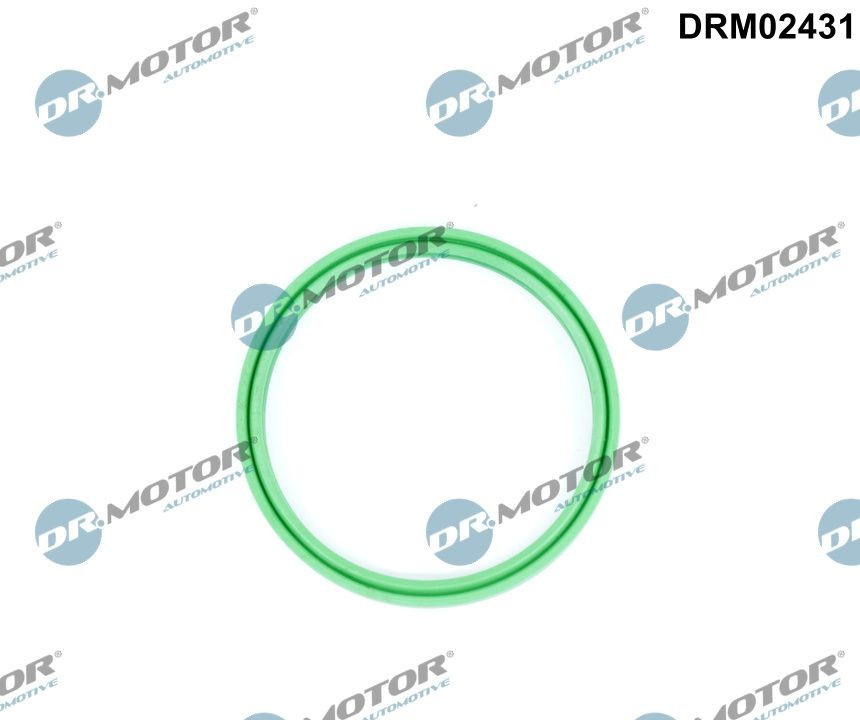 DR.MOTOR AUTOMOTIVE Seal, turbo air hose DRM02431 buy