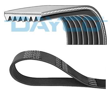 Nissan TEANA Serpentine belt DAYCO 7PK1035 cheap