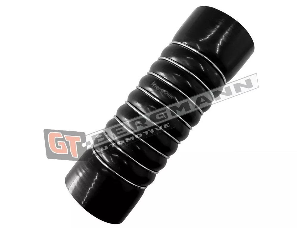 GT-BERGMANN GT52-754 Intake pipe, air filter 81 96301 0668