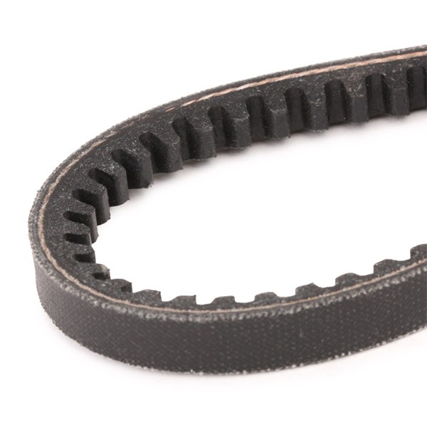 DAYCO 10x636 Vee-belt Width: 10,0mm, Length: 636,0mm