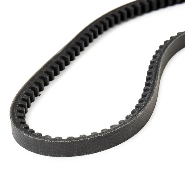 DAYCO 10x840 Vee-belt Width: 10,0mm, Length: 840,0mm