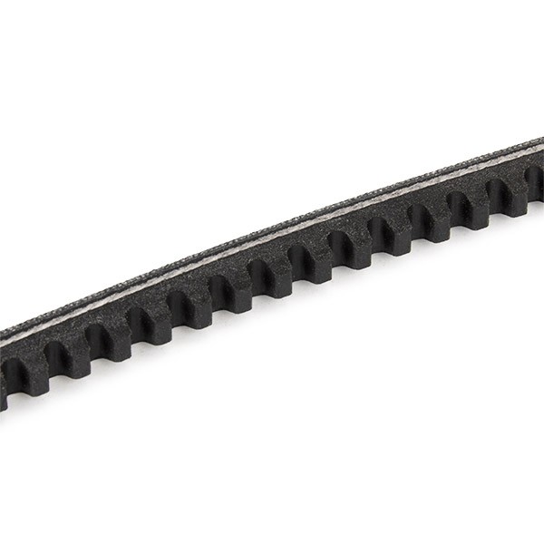 DAYCO 10x875 Vee-belt Width: 10,0mm, Length: 875,0mm