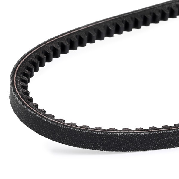 DAYCO 10x930 Vee-belt Width: 10,0mm, Length: 930,0mm