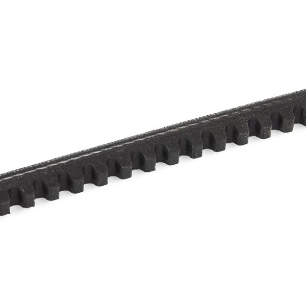 DAYCO 10x935 Vee-belt Width: 10,0mm, Length: 935,0mm