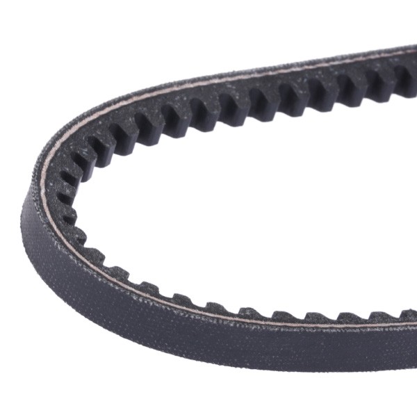DAYCO 10x1350 Vee-belt Width: 10,0mm, Length: 1350,0mm