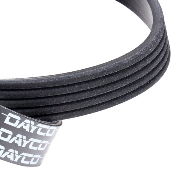 DAYCO 5x880 Aux belt 880,0mm, 5