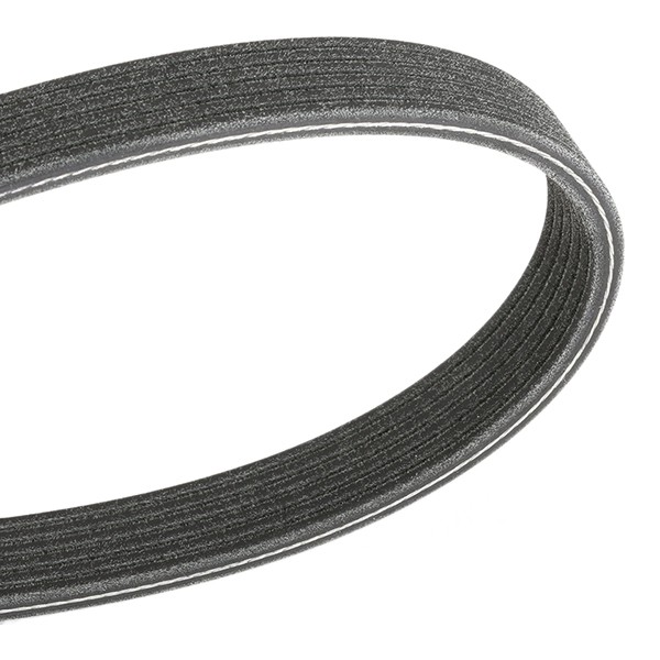 Great value for money - DAYCO Serpentine belt 6PK1195