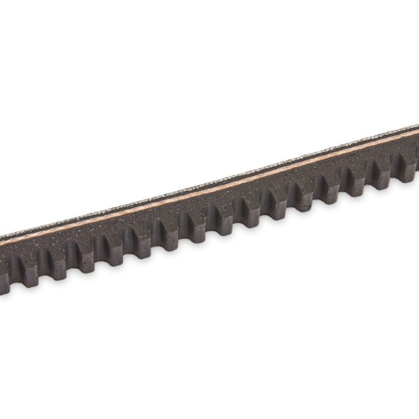 DAYCO 13x760 Vee-belt Width: 13,0mm, Length: 760,0mm