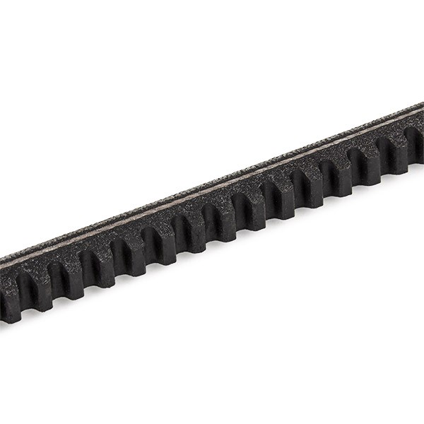 DAYCO 13x850 Vee-belt Width: 13,0mm, Length: 850,0mm