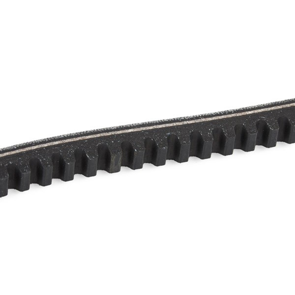 DAYCO 13x1035 Vee-belt Width: 13,0mm, Length: 1035,0mm